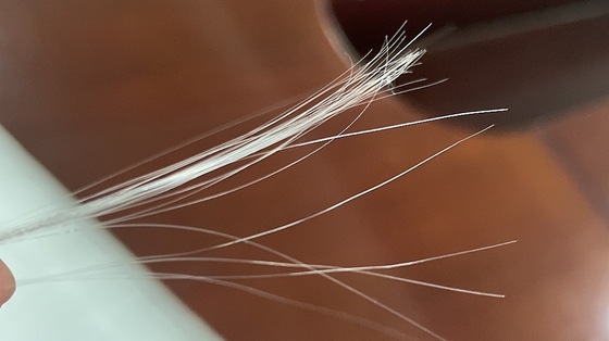 2700D 20F PP Monofilament Yarn 15-350 CN/Dtex 1 Mm Monofilament Line